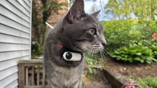 Insta360 Go 2 on cat