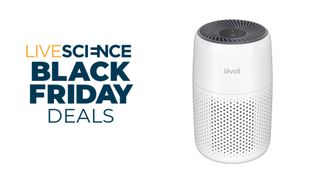 Levoit Black Friday deal