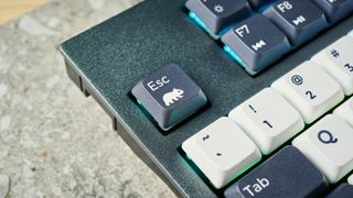 Photograph of KSI-Wombat Willow Pro mechanical keyboard