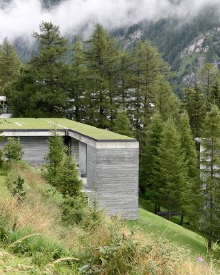 Therme’s grass-roofed outdoor