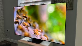 The Samsung QE65S95D QD-OLED TV on a TV stand in front of a window. On screen is a close-up of some flying insects.