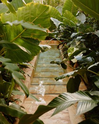 Greenery inside Palm Heights Hotel Spa