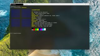 Winfetch running inside PowerShell on Windows 11