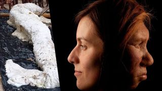 A mermaid-shaped "globster" shortly after it was pulled from the water onto the beach on Simberi Island in Papua New Guinea; Neanderthal woman face reconstruction