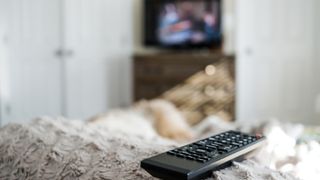 Close-up of remote control resting on unrecognizable person underneath blanket while dog rests in sunny spot at foot of bed