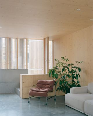 spruce house timber interior