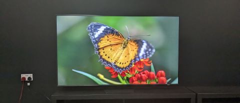 Samsung Qn85D hero image of butterfly 