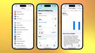 Vision Health on iOS 17