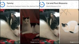 Examples from Google Arts and Culture Pet Portraits mode