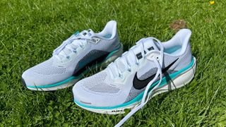 Nike Pegasus 41 running shoes