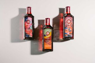 gin bottles with white background