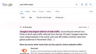 An AI overview explaining web traffic data.