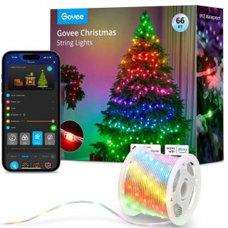 Govee Christmas String Lights