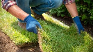 Man laying new turf in a garden