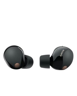 Sony WF-1000XM4 earbuds in black loose.