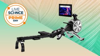 NordicTrack Smart Rower