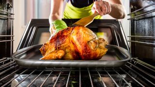 A roast chicken on the lower shelf of an oven