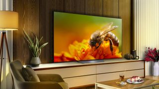 LG G3 OLED TV in a modern apartment living room with a bee on screen