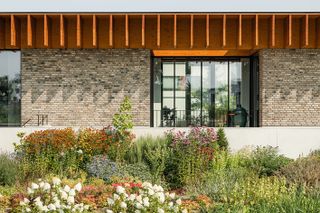 greenery outside stone wall of rotterdam house