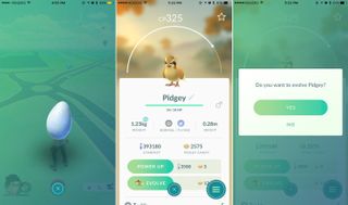 Pokemon Go Evolve Pidgey