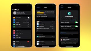 A screenshot showing how to back up iCloud