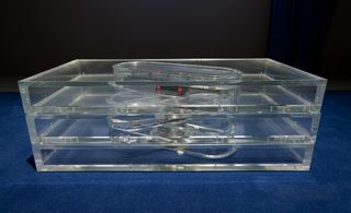 The acrylic '03 Coffee Table'