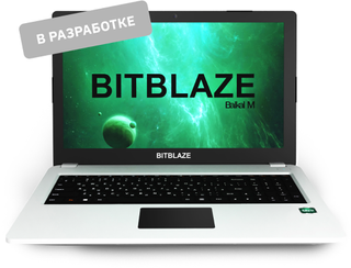 Bitblaze