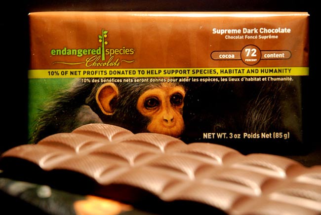 Astronaut Dessert Redefines &#039;Space Chimps&#039;