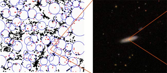 Loner Black Holes Lurk in Cosmic Voids