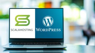 Web Hosting