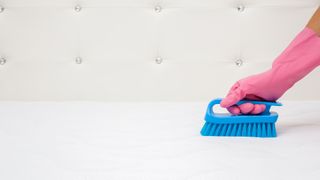 A hand wearing a rubber glove uses a soft brush to clean a mattress