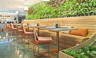 A restaurant with decorated tables, chairs, a bar counter and a large plant feature.