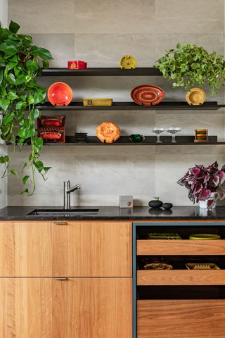 Kitchen at Seth Rogen houseplant retreat in LA