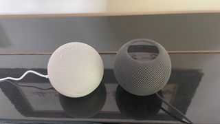 HomePod Mini vs. Echo Dot 5th gen