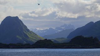 blue water in foreground, mountains in the background and a seabird flies across the upper center portion of the image.