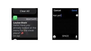 WhatsApp on Apple Watch messaging screen