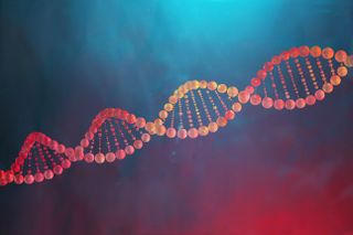 An illustration of a DNA molecule