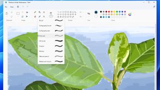 Windows 11 Paint