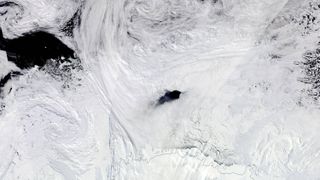 satellite photo showing a dark-blue hole in antarctic sea ice