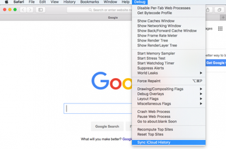 safari force sync history
