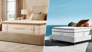 Saatva Classic vs Cloverlane mattress