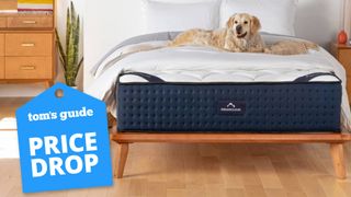 DreamCloud mattress with price drop badge overlaid on the main image