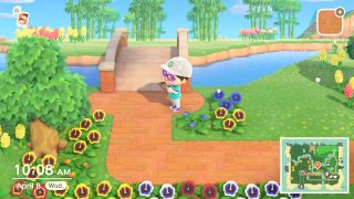 Animal Crossing New Horizons Terraforming