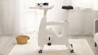 Flexispot Cycle Desk Bike V9 Pro in living room