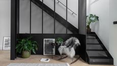 air house interior with hero dark steel staircase