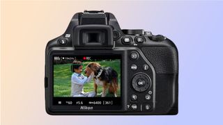 DSLR vs. mirrorless cameras: battery life