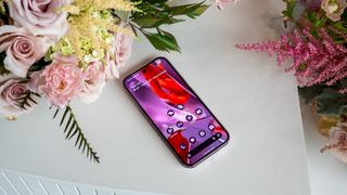 The bright vibrant display of the Google Pixel 9 Pro XL next to a bouquet of flowers