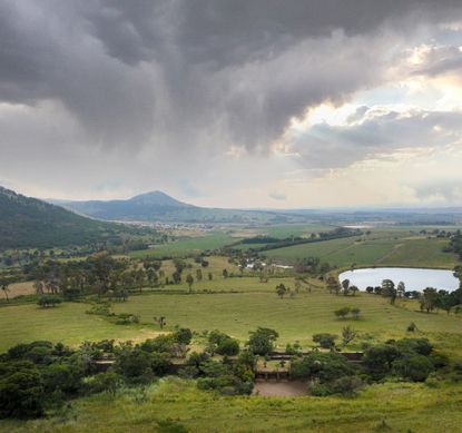 south african house engulfed in greenery