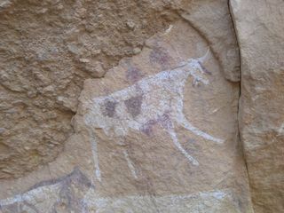 Rock art depicting a white cow.