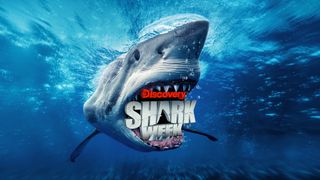 A shark chomps on the Shark Week logo